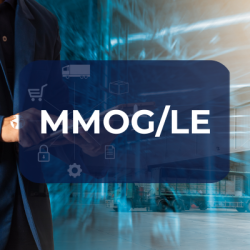 MMOG/LE – Samoocena systemu logistycznego zgodnie z wytycznymi AIAG