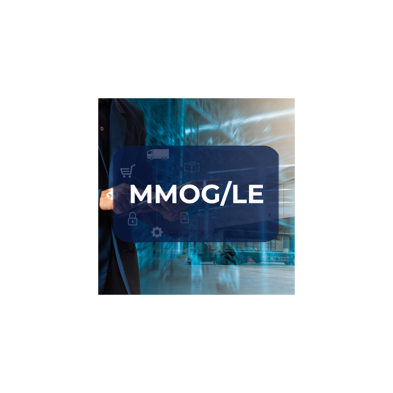 MMOG/LE – Samoocena systemu logistycznego zgodnie z wytycznymi AIAG