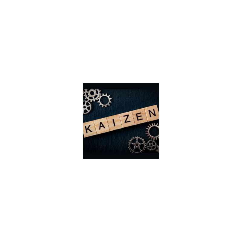 Kaizen & Lean Management