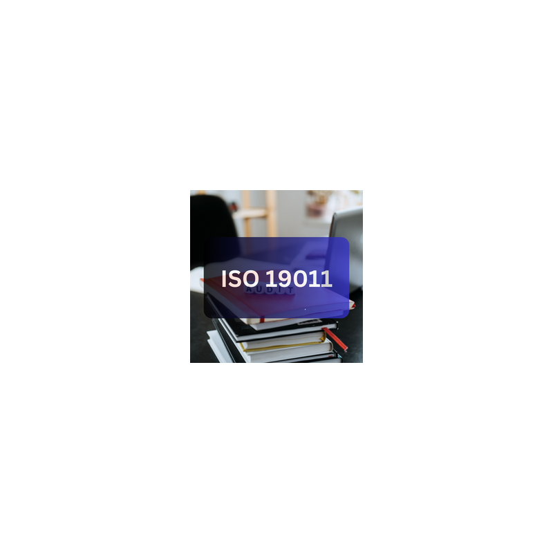 Auditowanie systemów zarządzania wg wytycznych ISO 19011