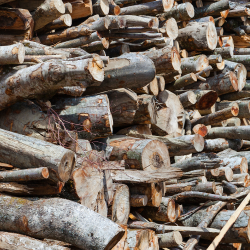 Wymagania prawne dla...