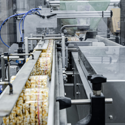 Auditor wewnętrzny systemu...