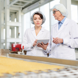 Audytor wewnętrzny systemu...