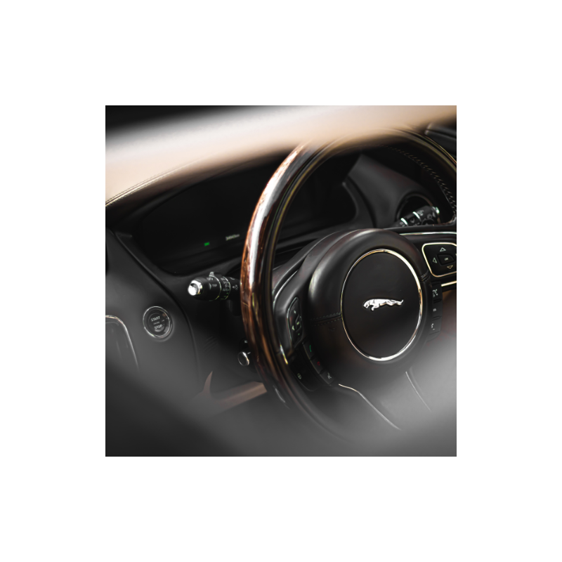 Specyficzne wymagania JAGUAR dla dostawców