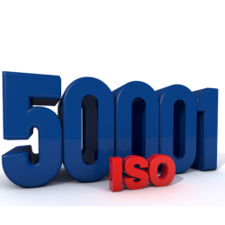 Audytor Wewnętrzny Systemu Zarządzania Energią ISO 50001:2018