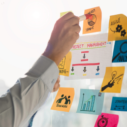 Projekt na medal – podstawy...