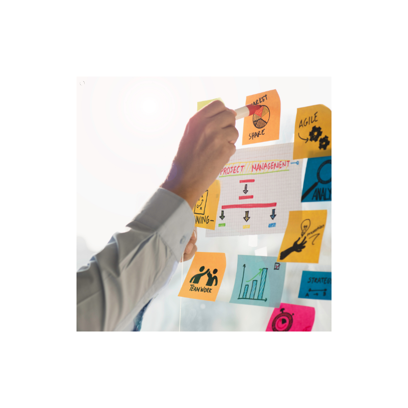 Projekt na medal – podstawy zarządzania projektami w motoryzacji