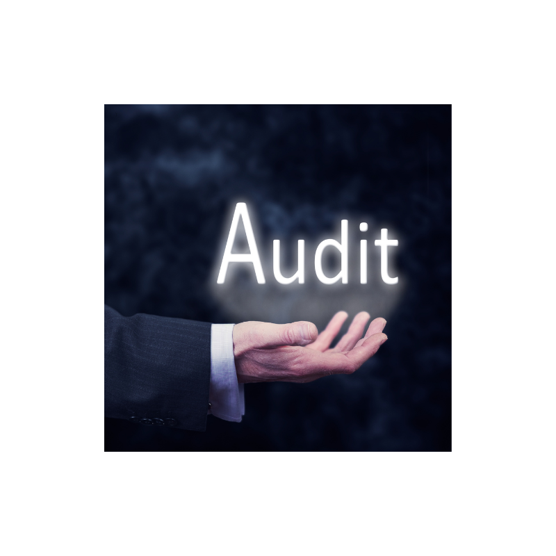 Audit procesu dla wyposażenia produkcyjnego wg VDA6.7:2020