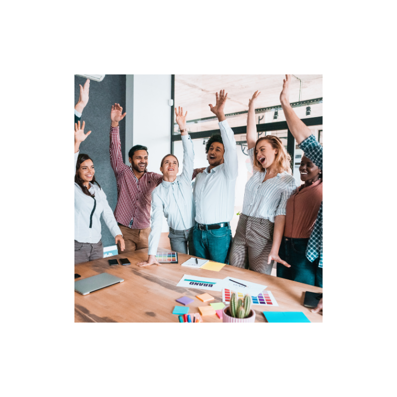 Jak zwiększać motywację i zaangażowanie pracowników w oparciu o ich naturalne predyspozycje poznawcze? FRIS®