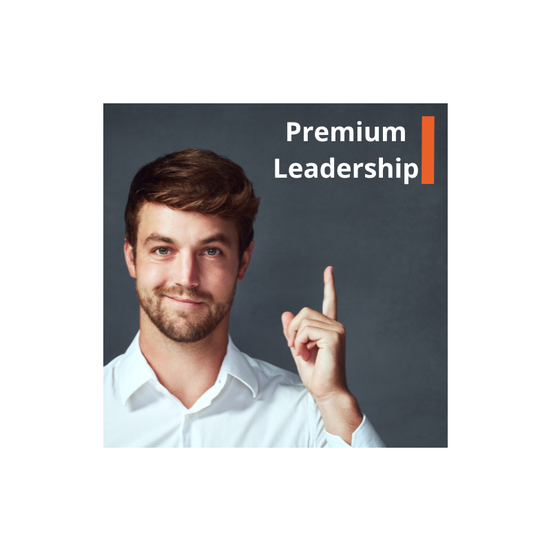 Premium Leadership: Sztuka świadomego przywództwa. Warsztat z wykorzystaniem modelu FRIS®