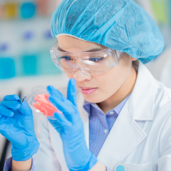 Kultura bezpieczeństwa i...